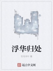 浮华归处封面