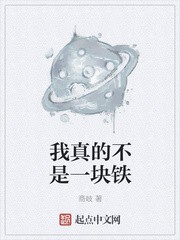 我真的不是一块铁封面