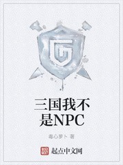 三国我不是NPC封面