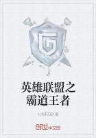 英雄联盟之霸道王者封面