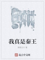 我真是秦王封面