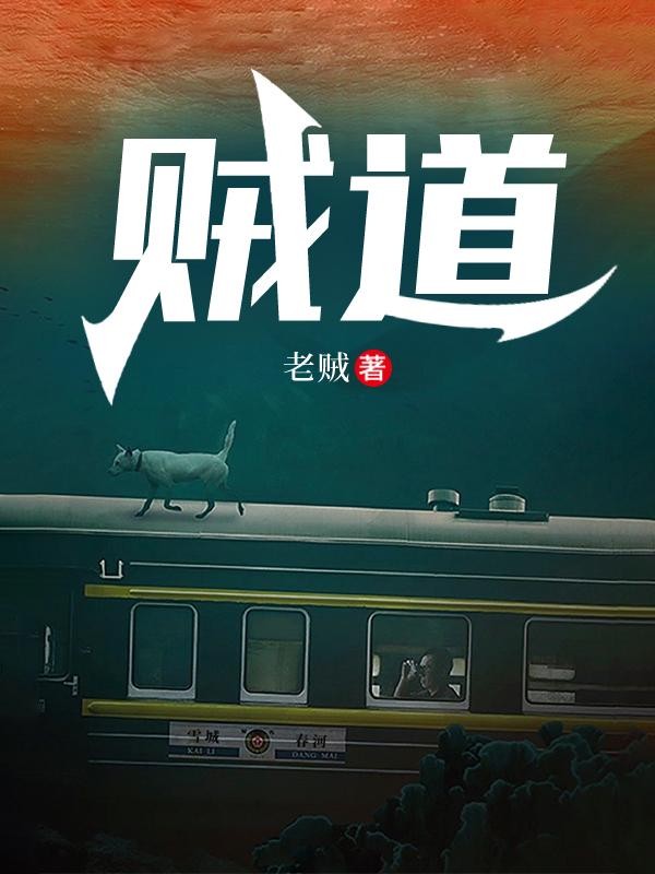 贼道封面