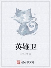 英雄卫封面