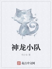 神龙小队封面