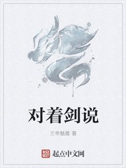 对着剑说封面