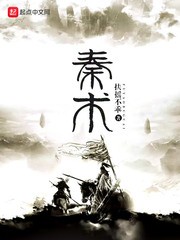 秦术封面