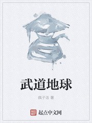 武道地球封面