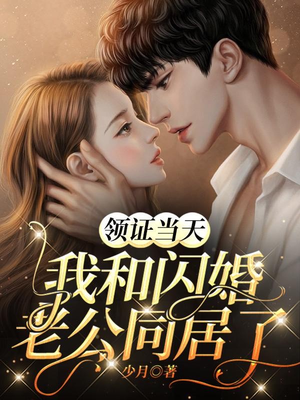 领证当天,我和闪婚老公同居了封面