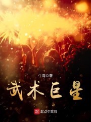 武术巨星封面