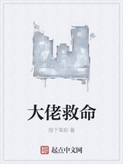 大佬救命封面