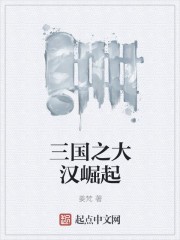 三国之大汉崛起封面