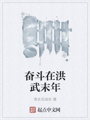 奋斗在洪武末年封面