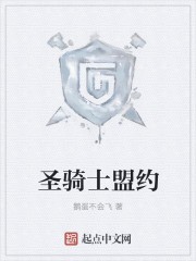 圣骑士盟约封面
