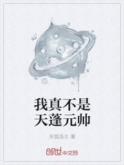 我真不是天蓬元帅封面