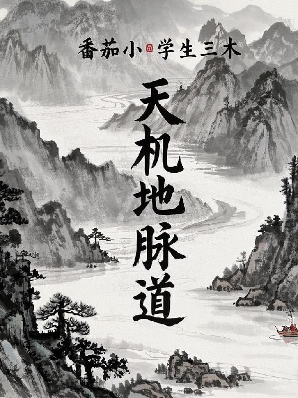 天机地脉道封面