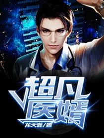 超凡医婿封面