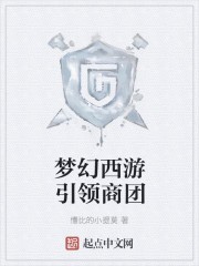 梦幻西游引领商团封面