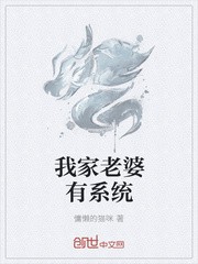 我家老婆有系统封面