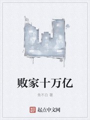 败家十万亿封面