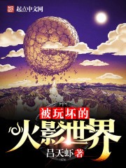 被玩坏的火影世界封面