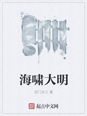 海啸大明封面