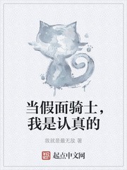 当假面骑士,我是认真的封面