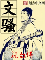文骚封面