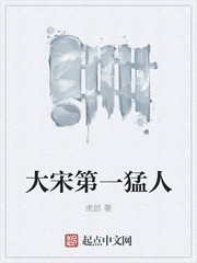 大宋第一猛人封面