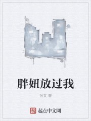 胖妞放过我封面