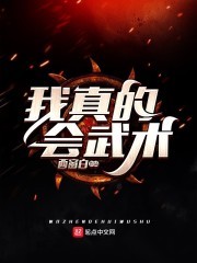 我真的会武术封面