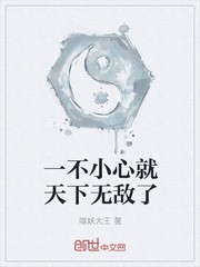 一不小心就天下无敌了封面