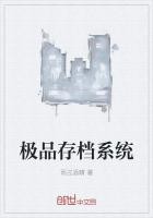 极品存档系统封面