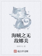 海贼之无敌娜美封面