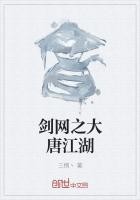 剑网之大唐江湖封面