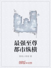 最强至尊都市纵横封面