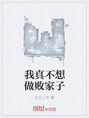 我真不想做败家子封面