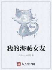 我的海贼女友封面