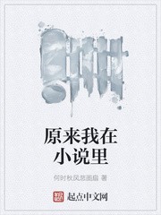 原来我在小说里封面