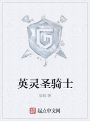 英灵圣骑士封面