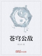 苍穹公敌封面