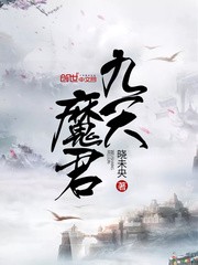 九天魔君封面