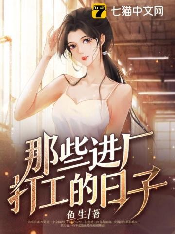 那些进厂打工的日子封面