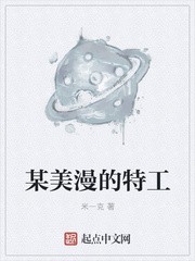 某美漫的特工封面