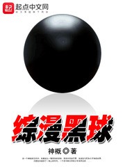 综漫黑球封面