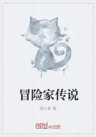 冒险家传说封面