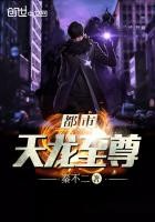 都市天龙至尊封面