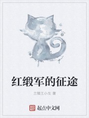 红缎军的征途封面