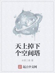 天上掉下个空间塔封面