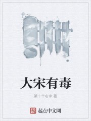 大宋有毒封面
