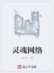 灵魂网络封面